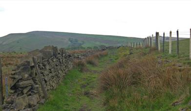 One of the footpaths in Piethorne Valley.