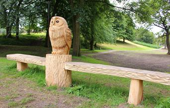 Owl bench.