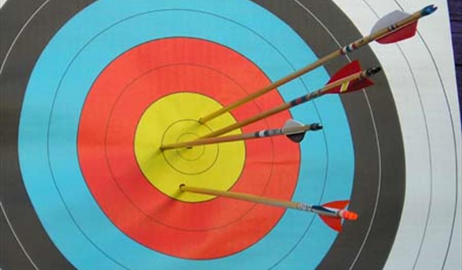 Archery Target with Arrows in the Bullseye