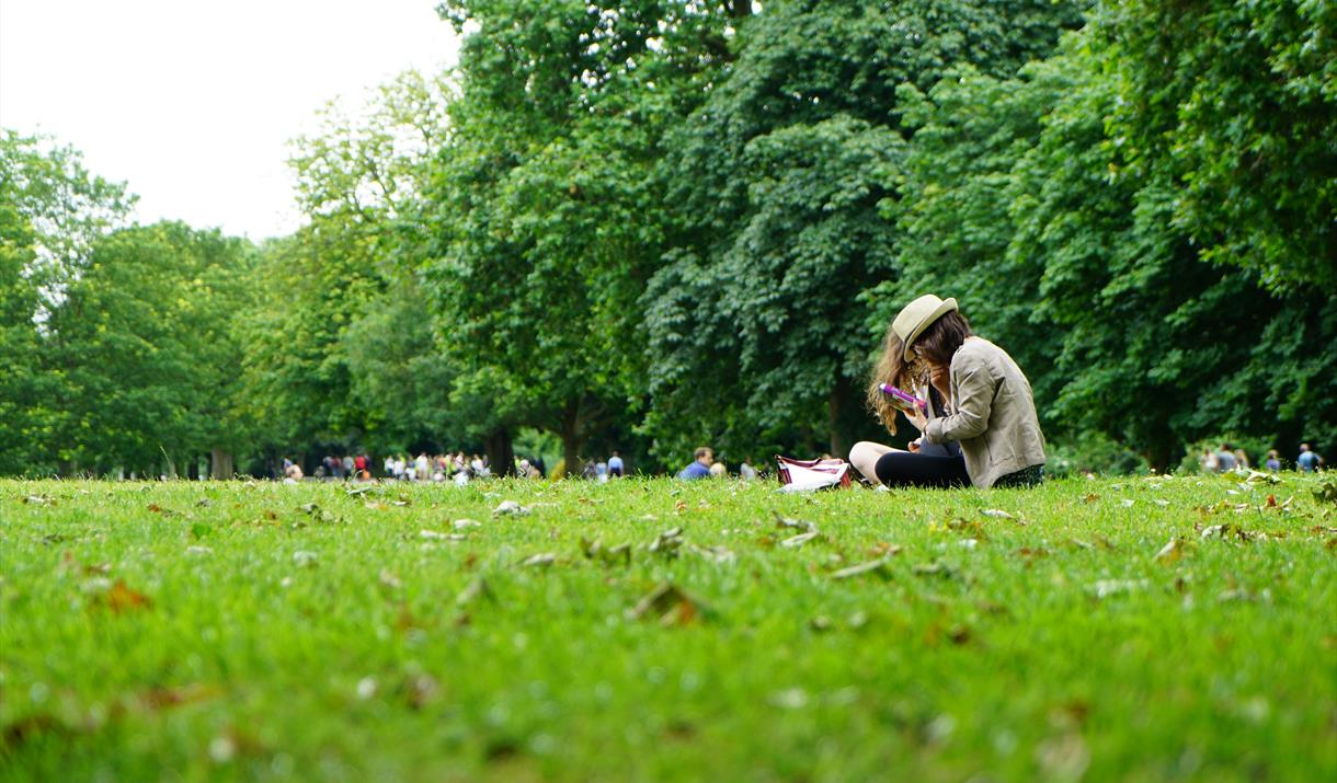 People Sitting On Green Grass Field
