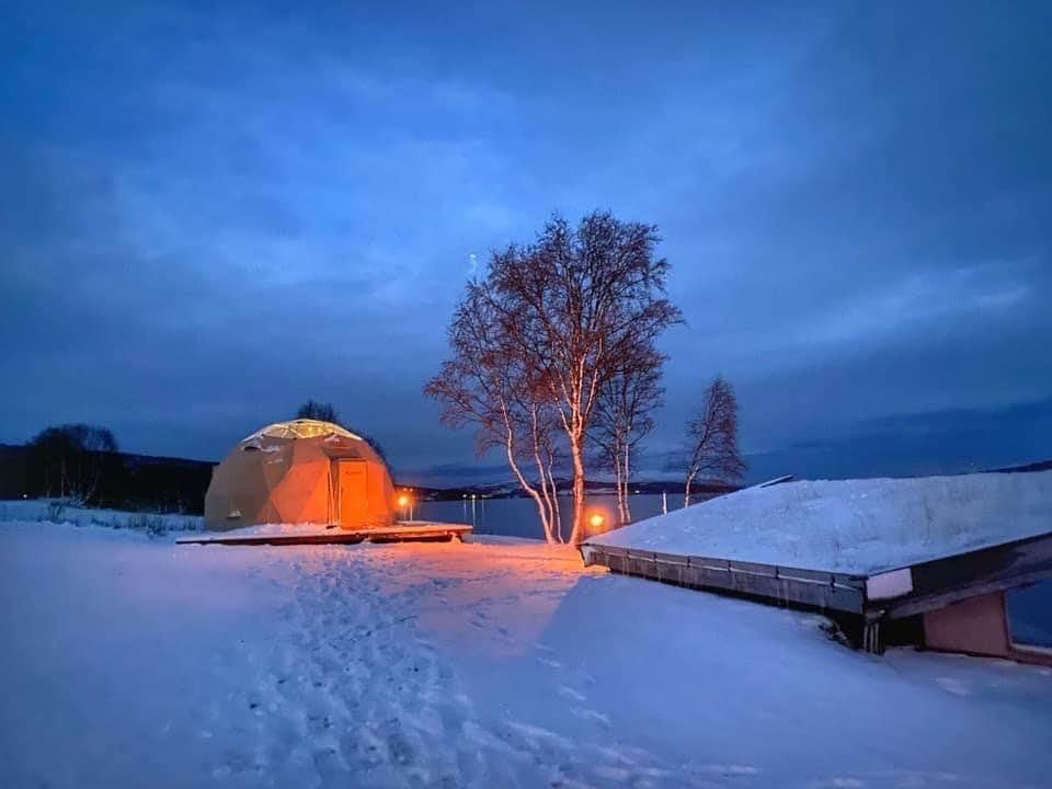 Venninnetur i vinter - Visit Røros og Østerdalen