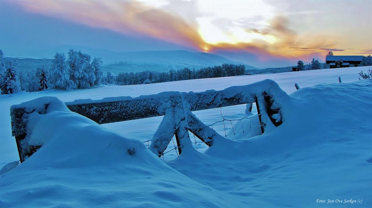 Knirkende, knitrende, glitrende snø - Visit Røros og Østerdalen