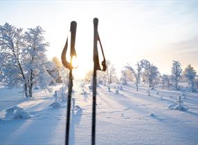 Skitur på Røros. Kaldt vinterlandskap og sol. Skistaver i forgrunnen og trær med frost og rim i bakgrunnen.