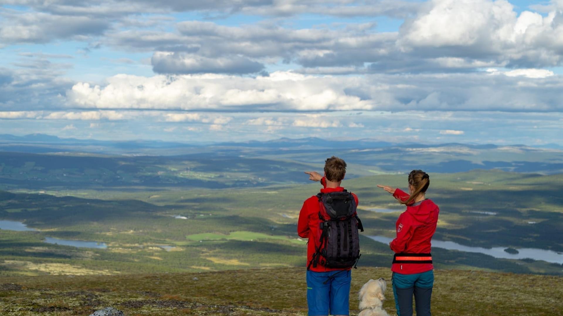 Par med hund på toppen av Synnerhogna. Ser utover landskapet
