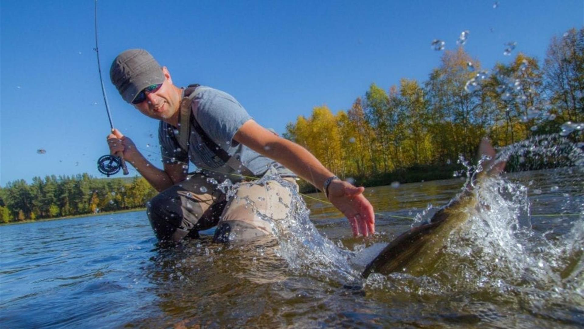 Fiske. Storfisken er på kroken