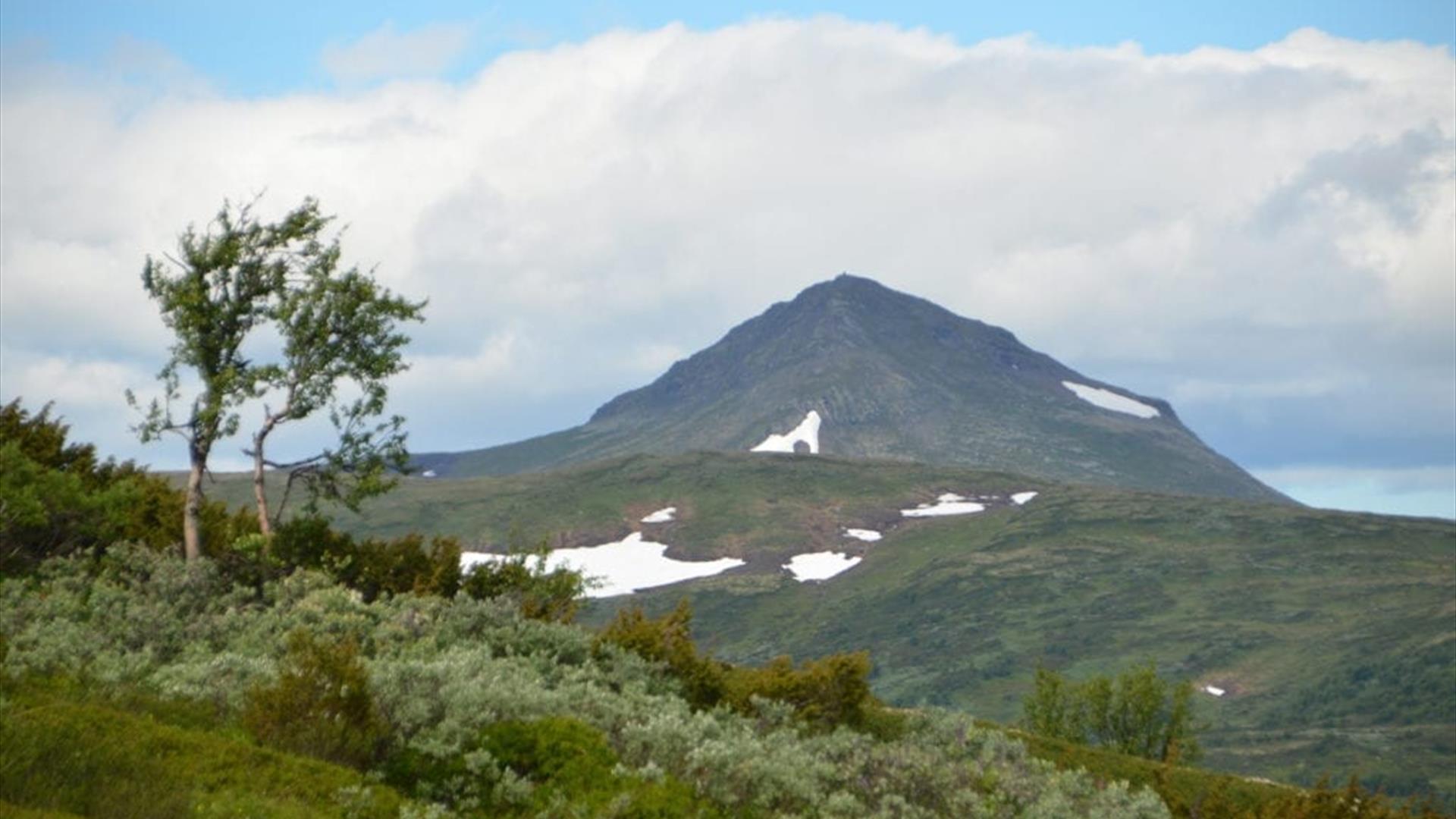 Fjelltoppen Forollhogna-nasjonalpark-Østerdalen-Natur-villmark