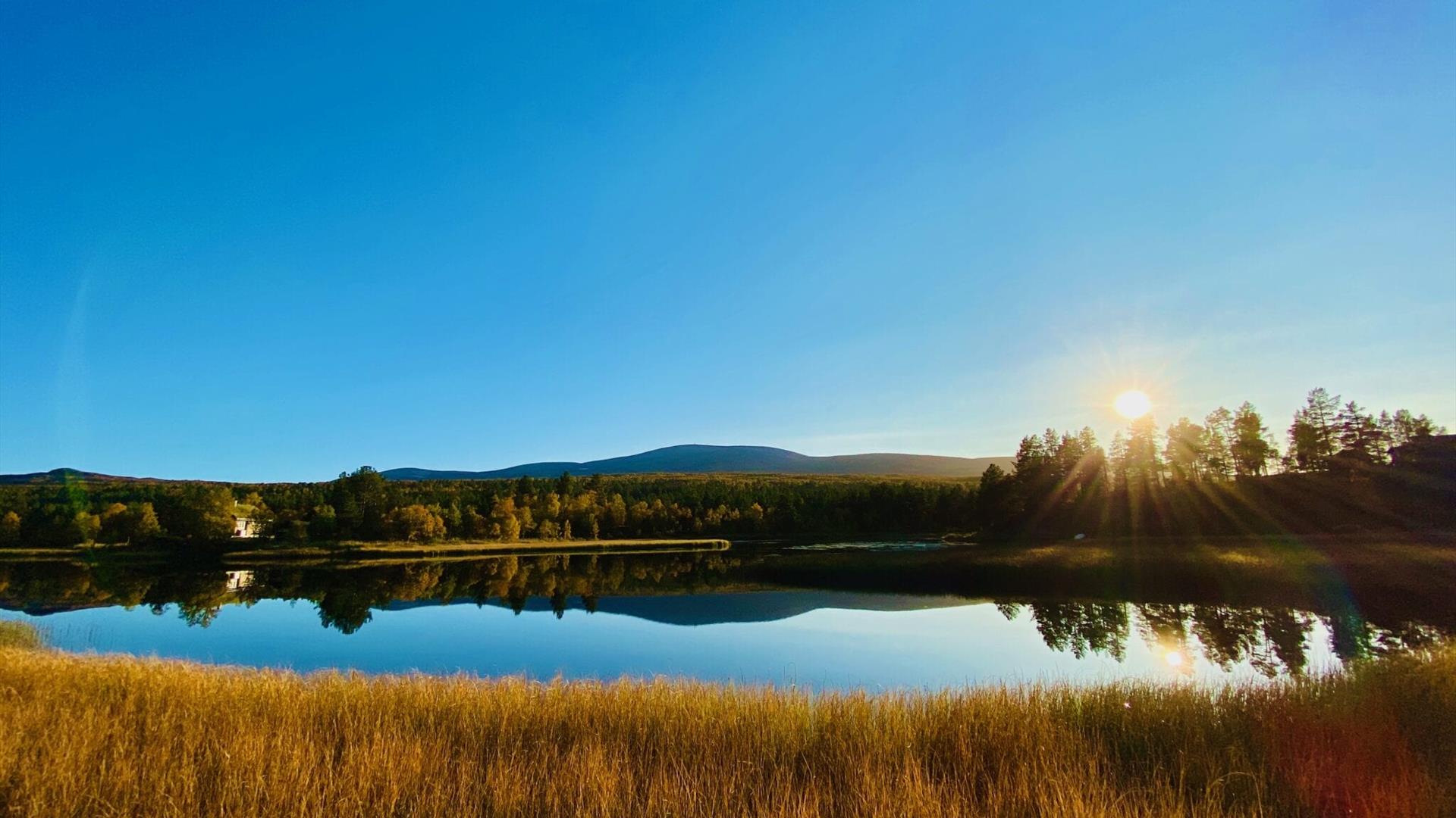 Klar, blå himmel med høstsol over stille vann