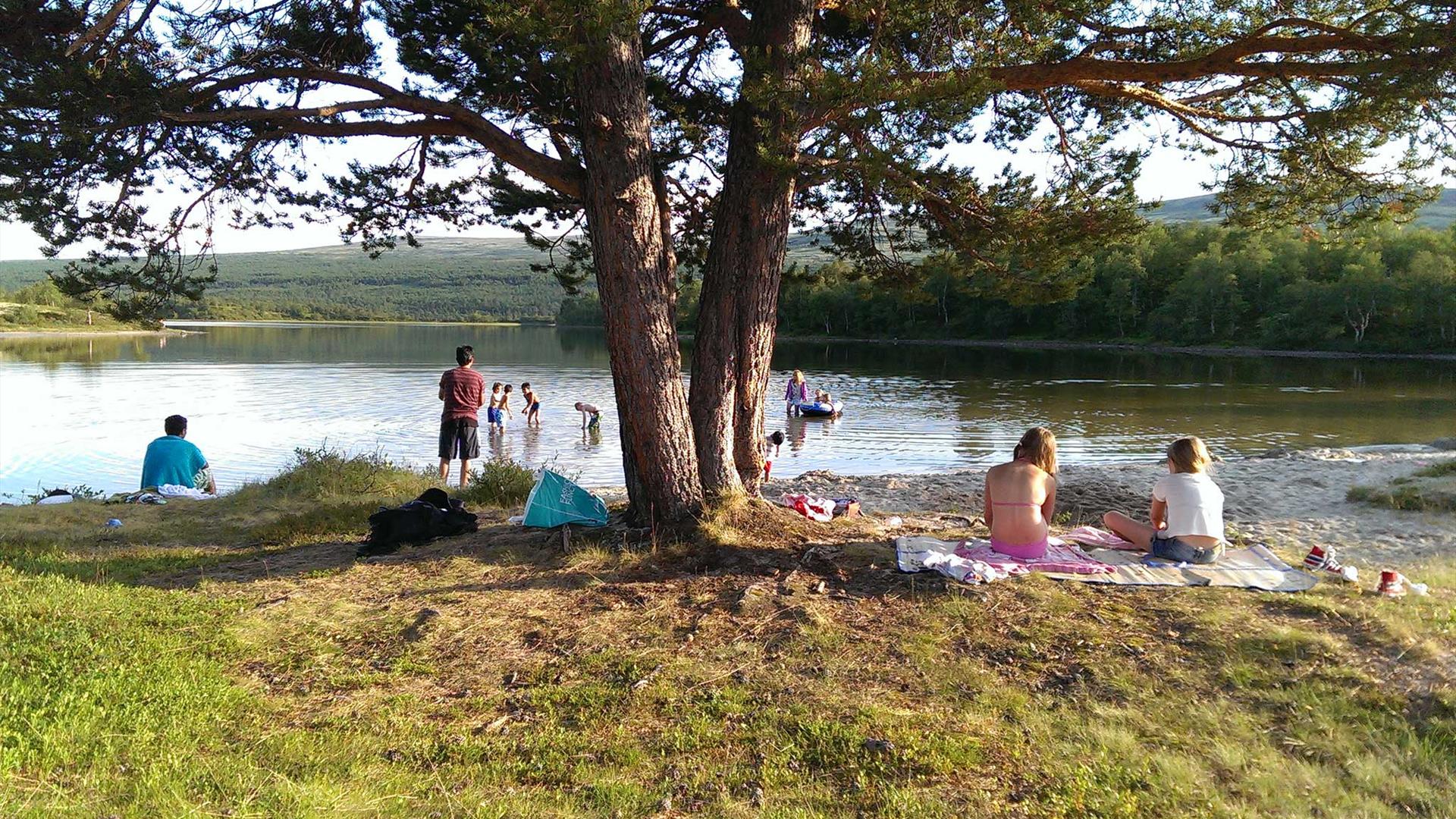 Fin badeplass på Tolga, med barn og voksne på land og til vanns