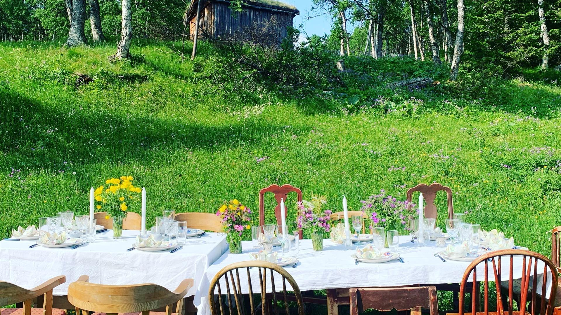 Dekket bord med hvit duk og gamle stoler i et grønt seterlandskap på Røros