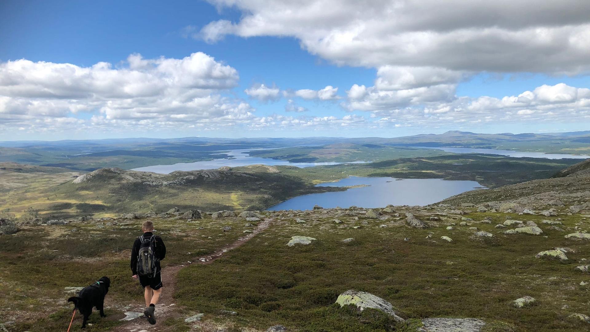 Man-dog-hiking-Vigelpiken-Roeros