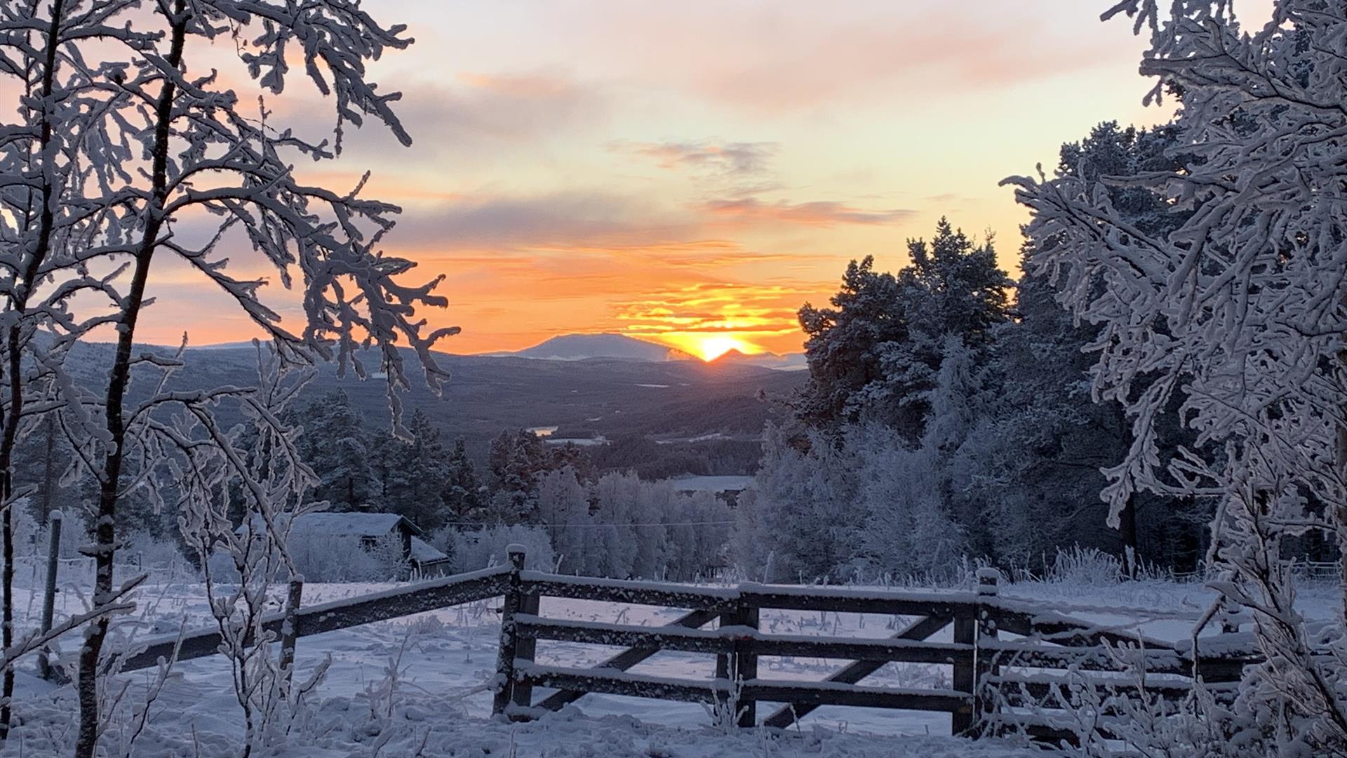 Velkommen til bergstaden Røros og Østerdalen
