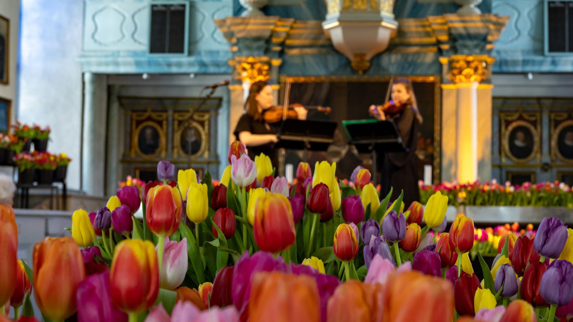 Tulipanhav i Røros kirke under Vinterfestspill i Bergstaden