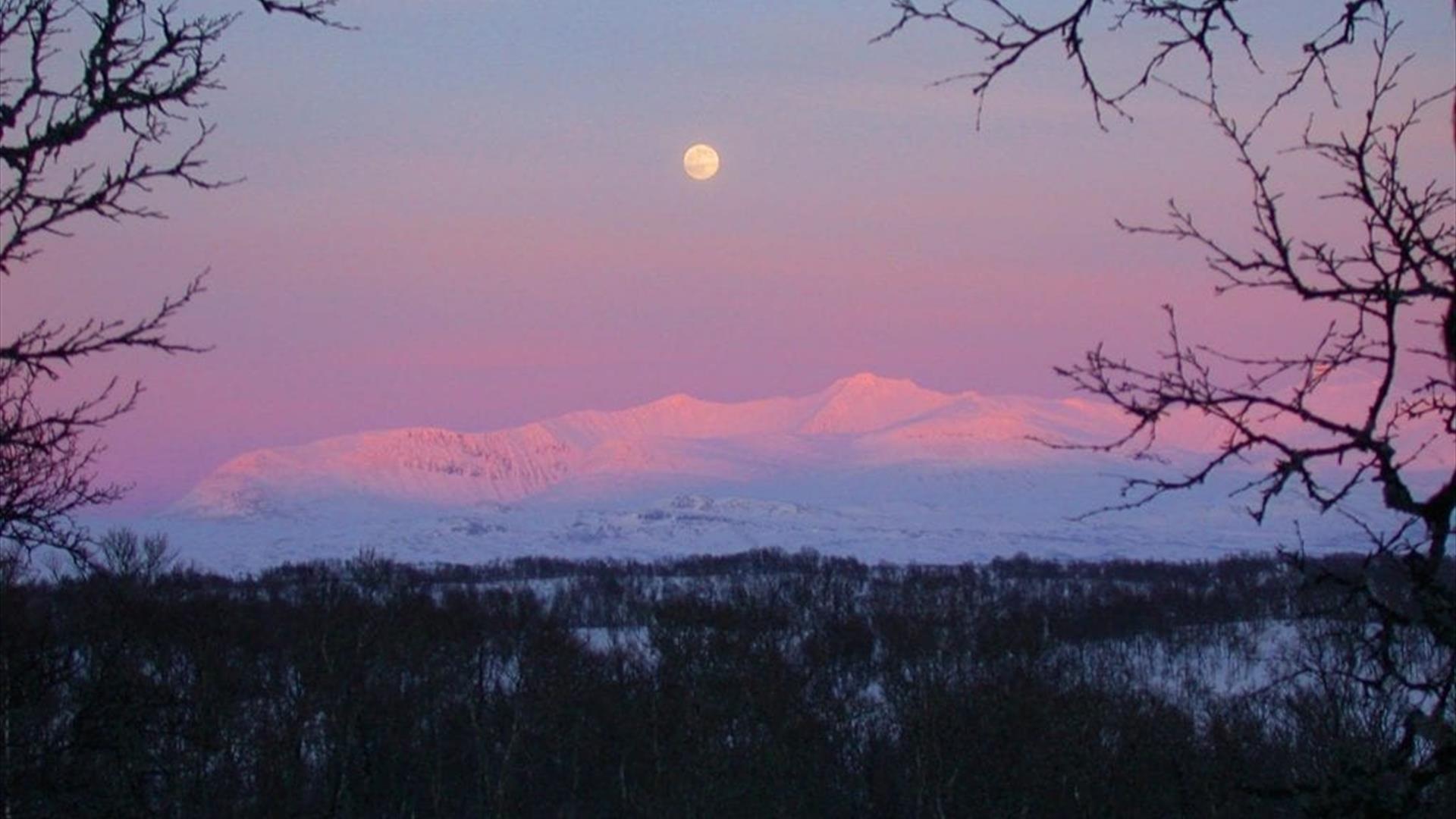 Vinterkledd landskap, måne, vinter og kaldt