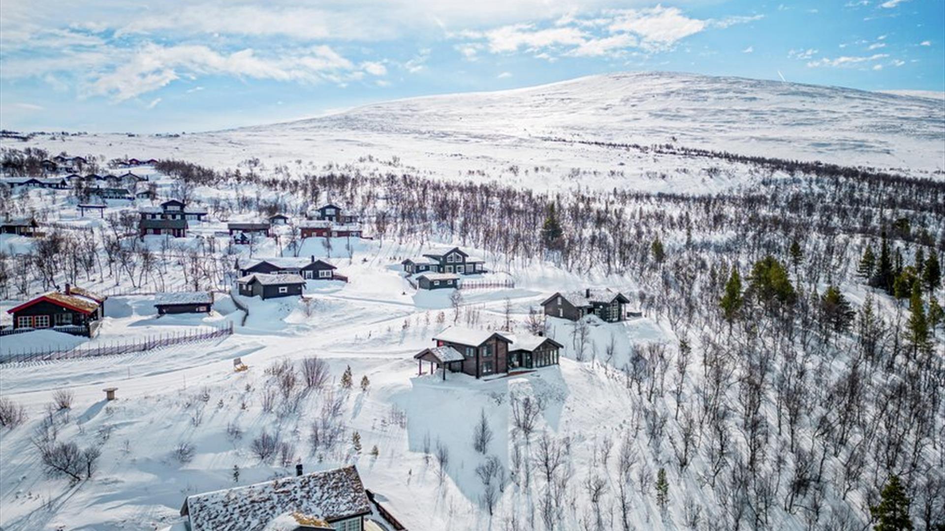 Hyttefelt på vinteren på Røros