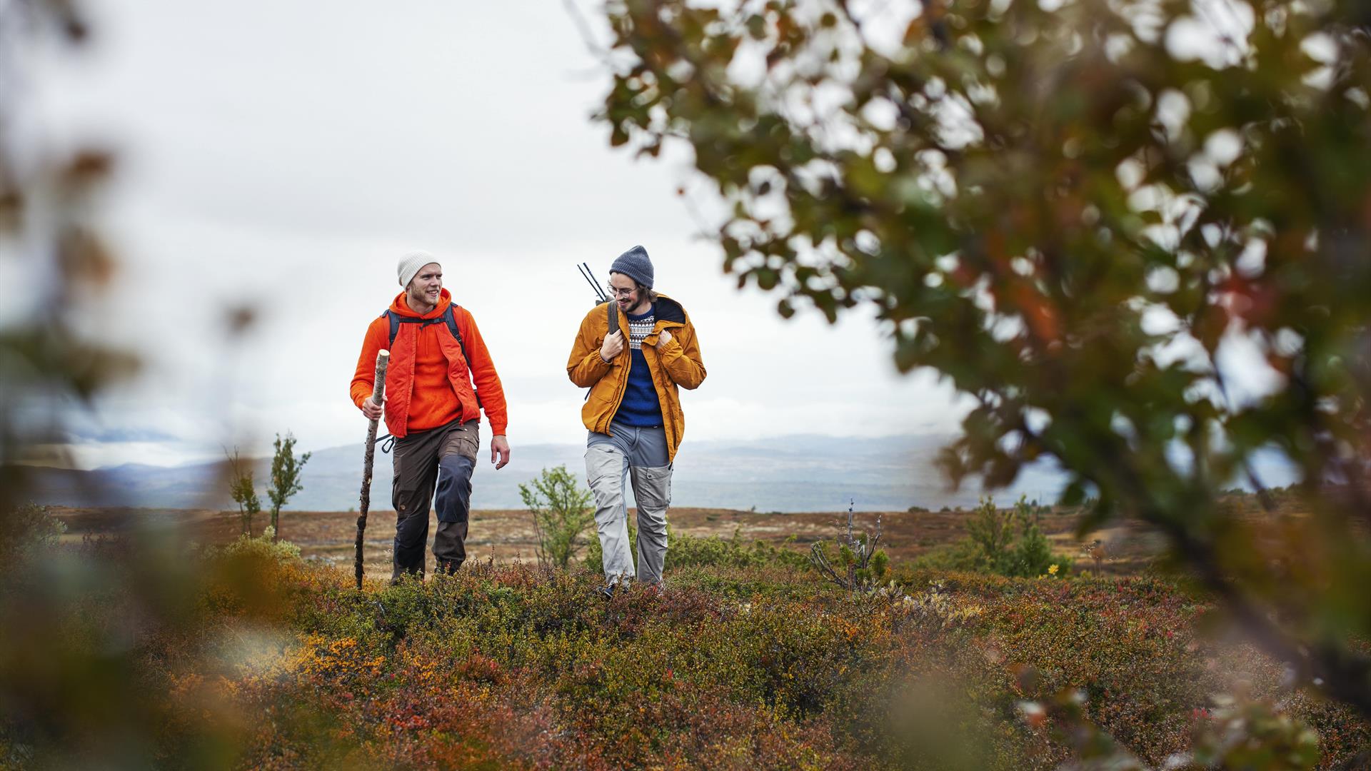 To personer vandrer i fjellet.
