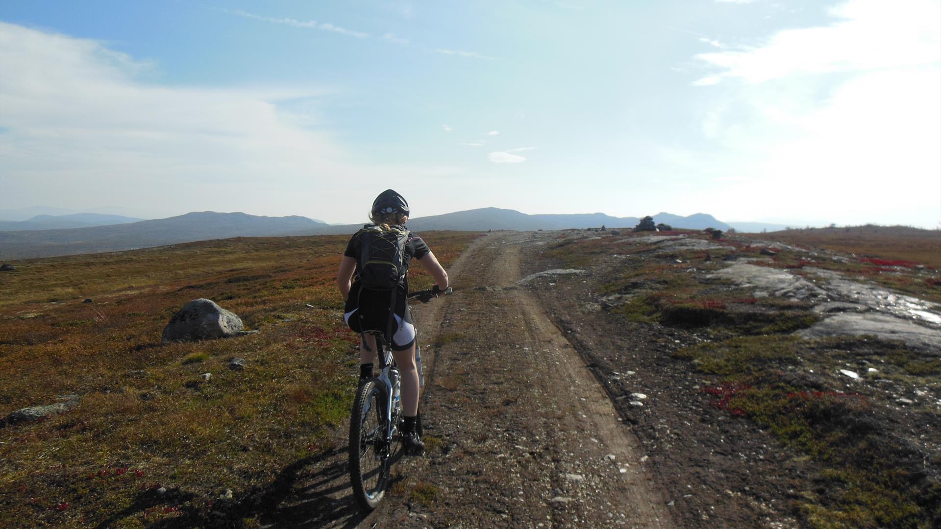 Person in mountain landscape. Summer feeling.