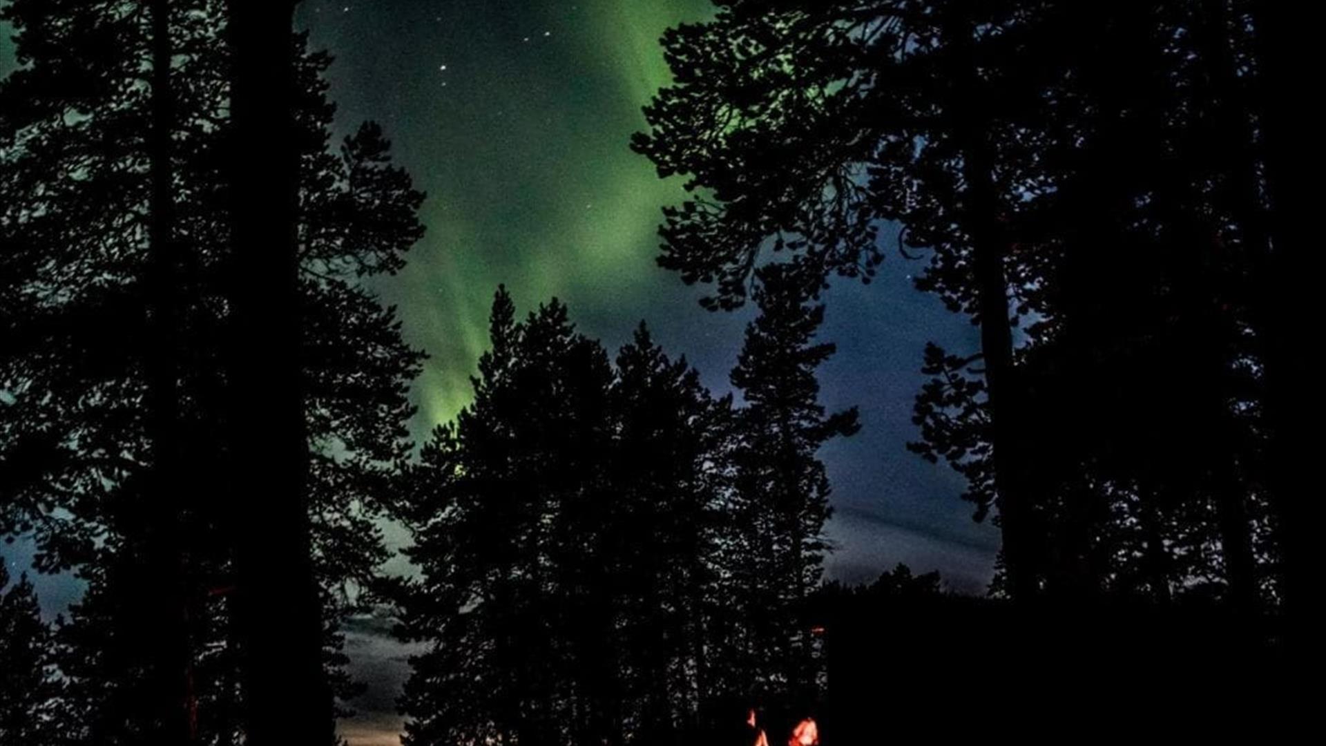 Natur og nordlys
