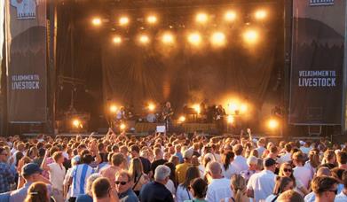 Livestockfestivalen 2026 - Livestock 20 år!