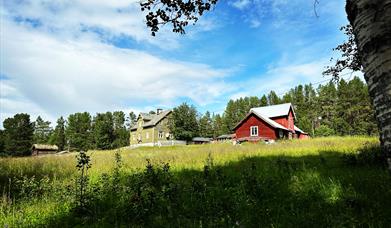 Haugen Gård