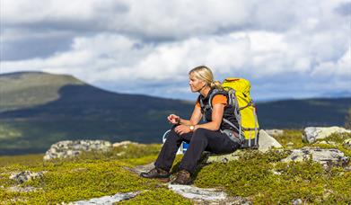 Fjällkraft