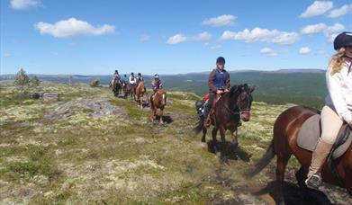 Riding - Savalen Hestesenter