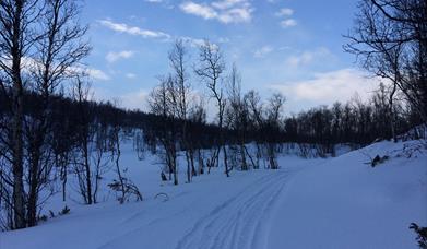 Lanlauf- Skitour