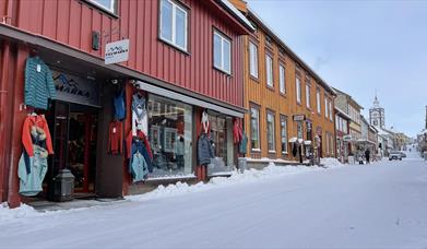 Villmarka Røros