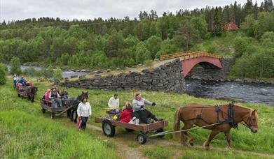 The old bridge at Tolga