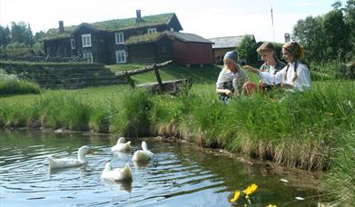 Dølmotunet