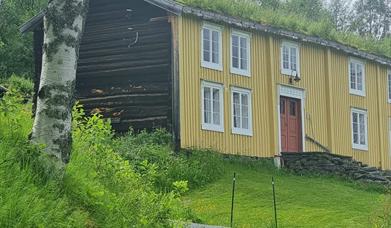 «Fandens instrument» med Bo Ivan Folde