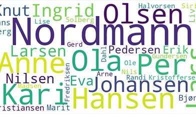 Torsdagskveld på Ramsmoen: Tema: fornavn og etternavn i Nord-Østerdalen
