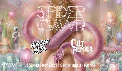 Spidergawd + Murder Maids + Cult Member