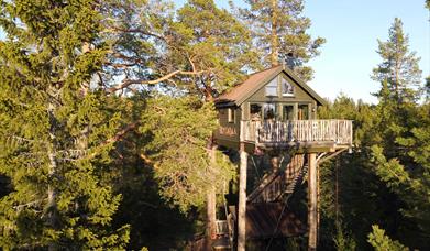 "Kraggbua": Baumkrone Kabine