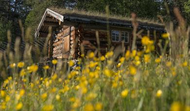 Gutulias fredede bygninger - Guidet tur i Gutulia nasjonalpark