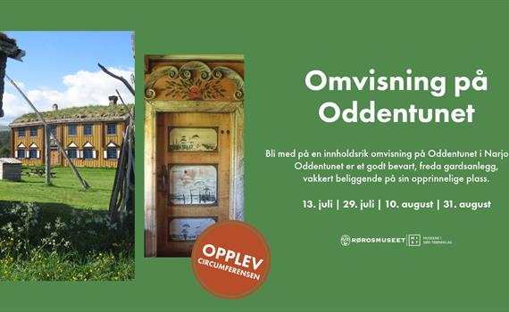 Summer Walks at Oddentunet