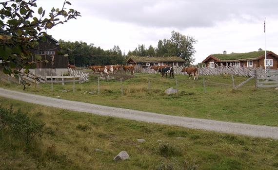 Åpen Seter, Ustuvollen i Dalsbygda