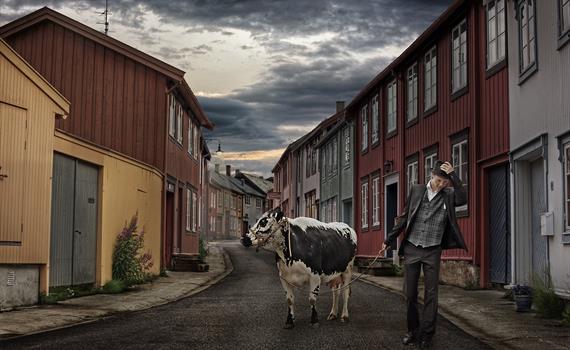 Trøndersk Matfestival – Et sted nær deg