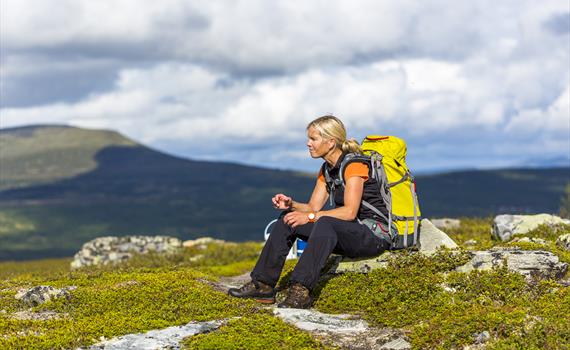 Fjällkraft