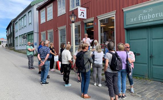 Bli med Kunst & Kaos på en guidet vandring i Harald Sohlbergs fotspor på Røros