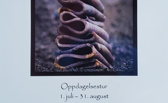 Kunstvandring i fjellheimen