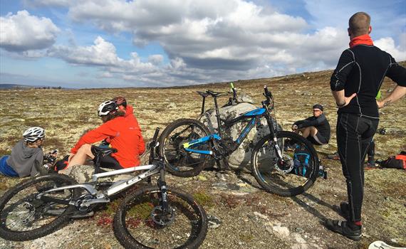Bicycle hire