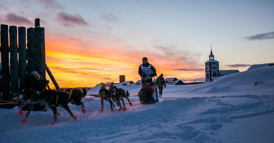 Dundee fifth-grade musher competes in U.P. dogsled race