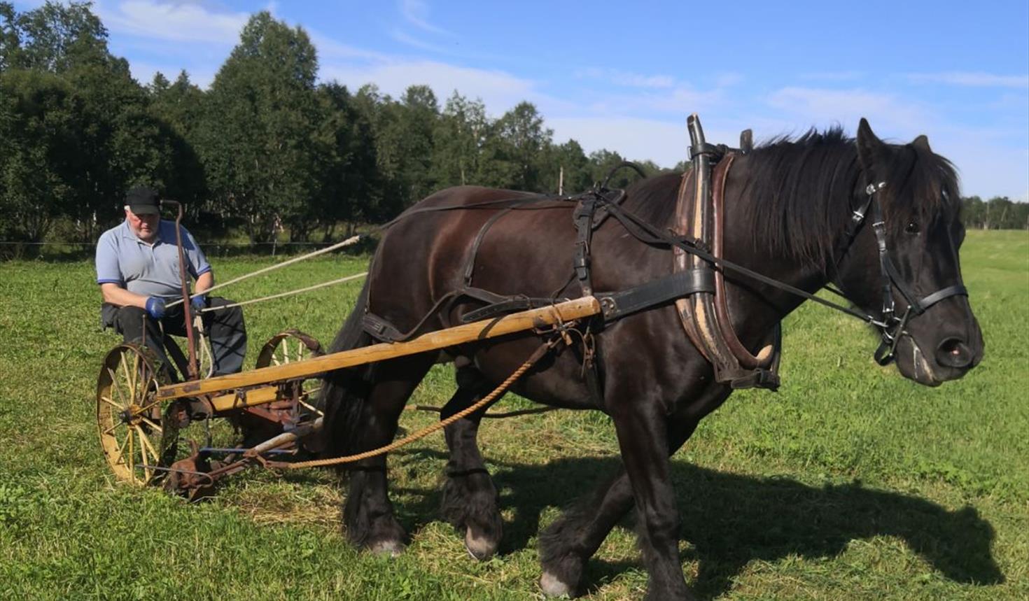 Vinnjdag på Storelvavollen