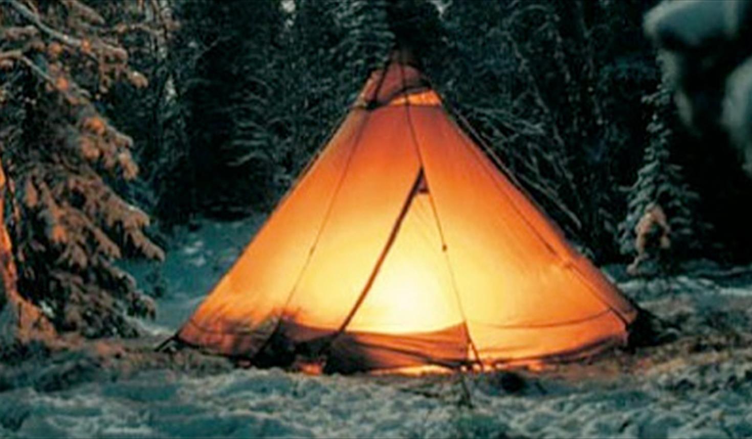 An image of Lavvo.net