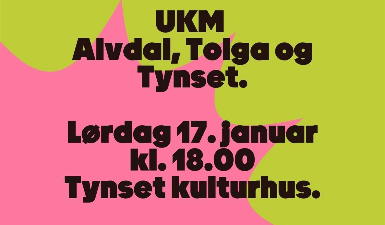 UKM - Ung Kultur Møtes