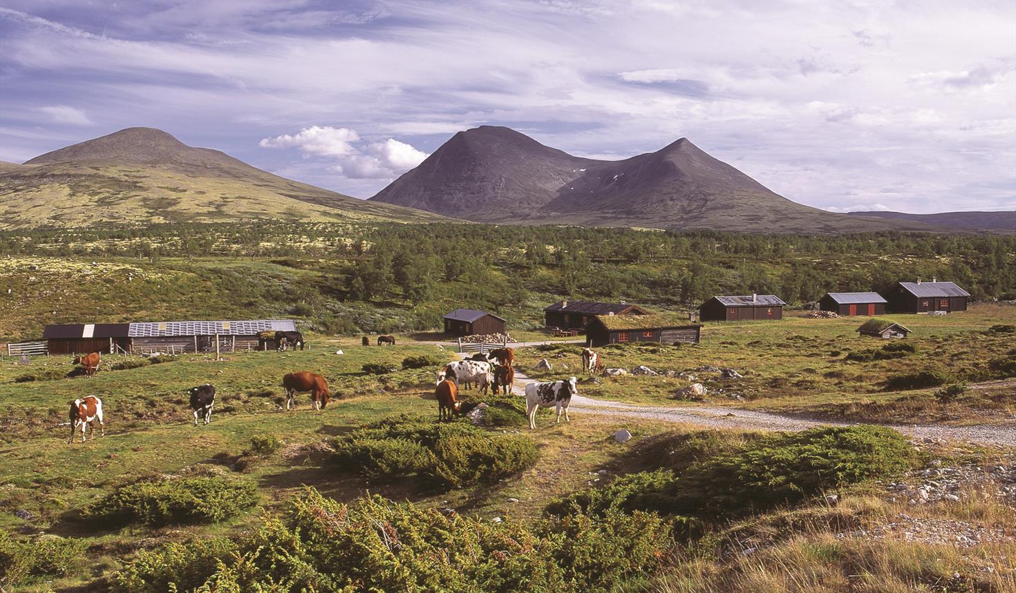 Alvdal Vestfjell