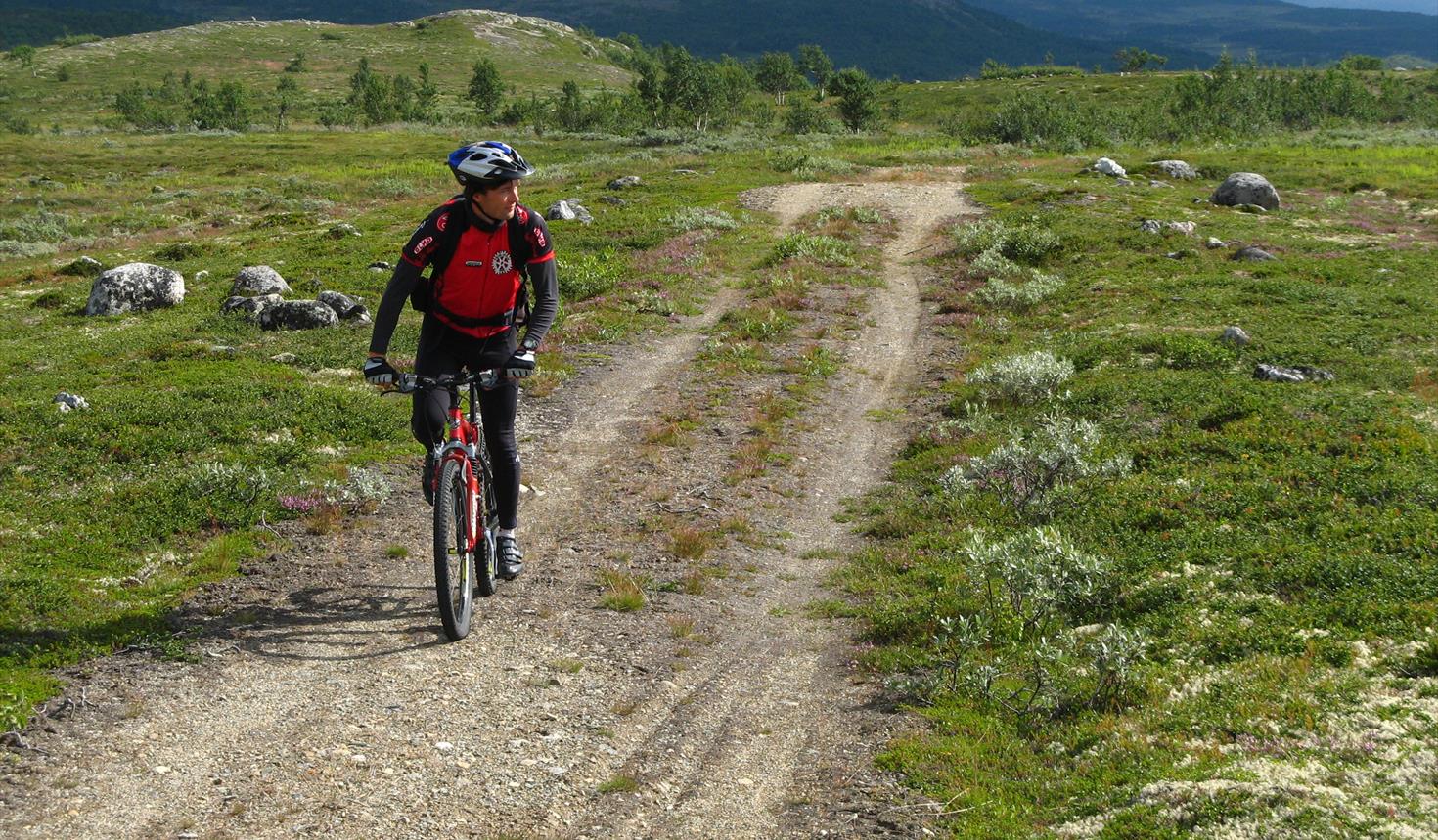 Cycling in the World Heritage site of Røros