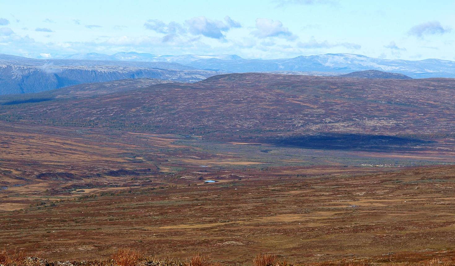 Grønntjønnan nature reserve