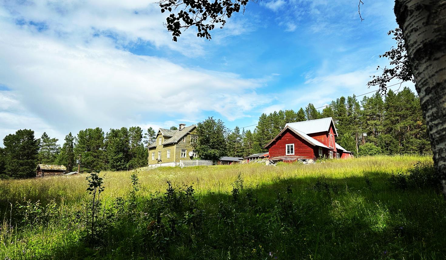 Haugen Gård