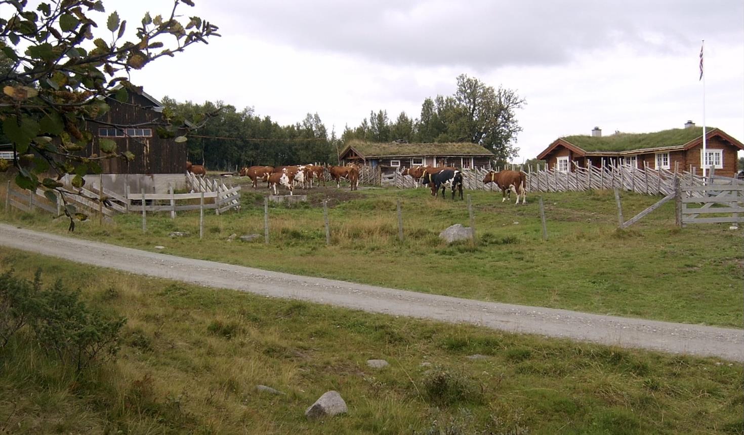 Åpen Seter, Ustuvollen i Dalsbygda